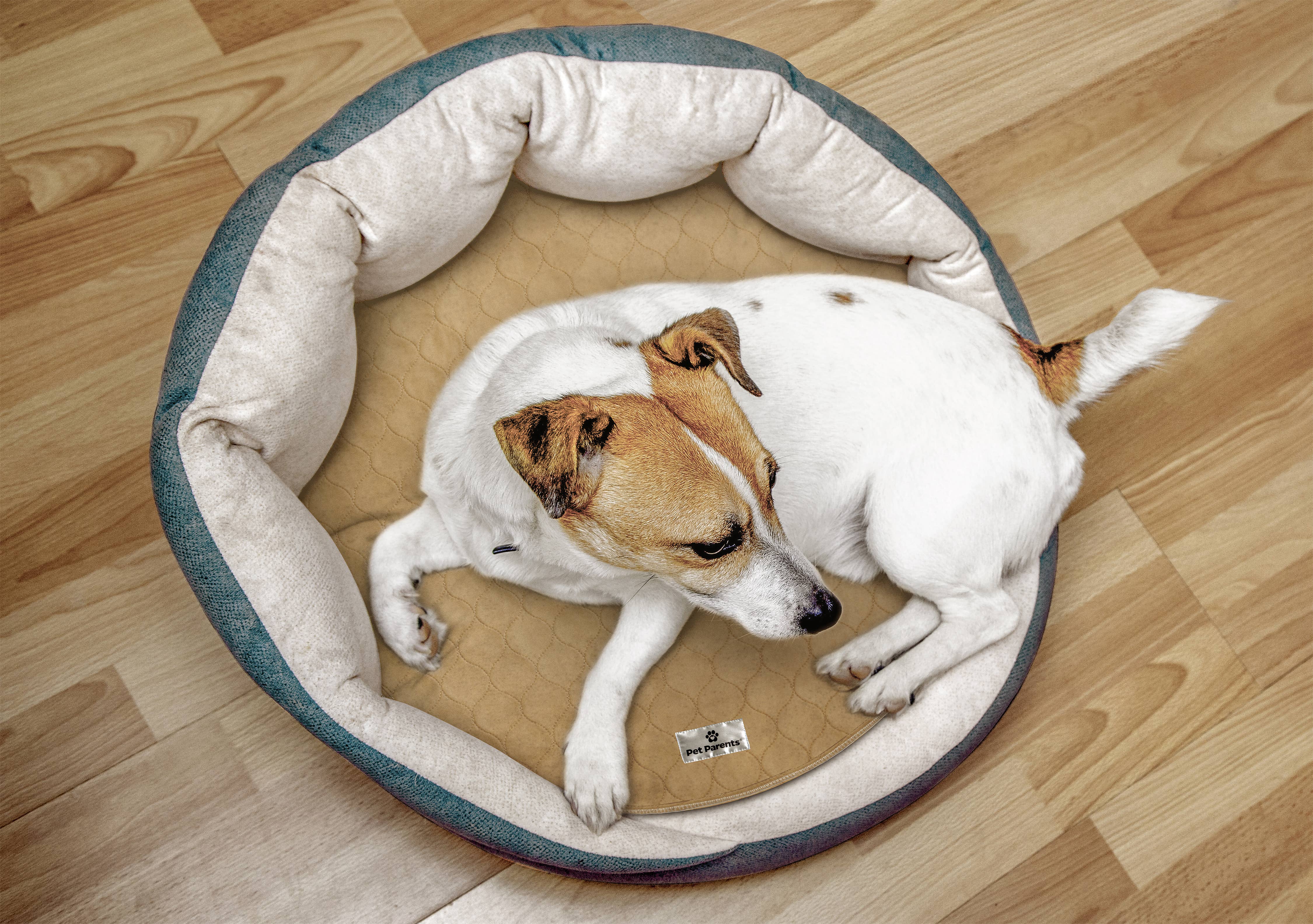 Pet Parents® - Wholesale Pet Pee Pad - Dog - Round Pawtect® Pads, Premium Washable Dog Pee Pads7