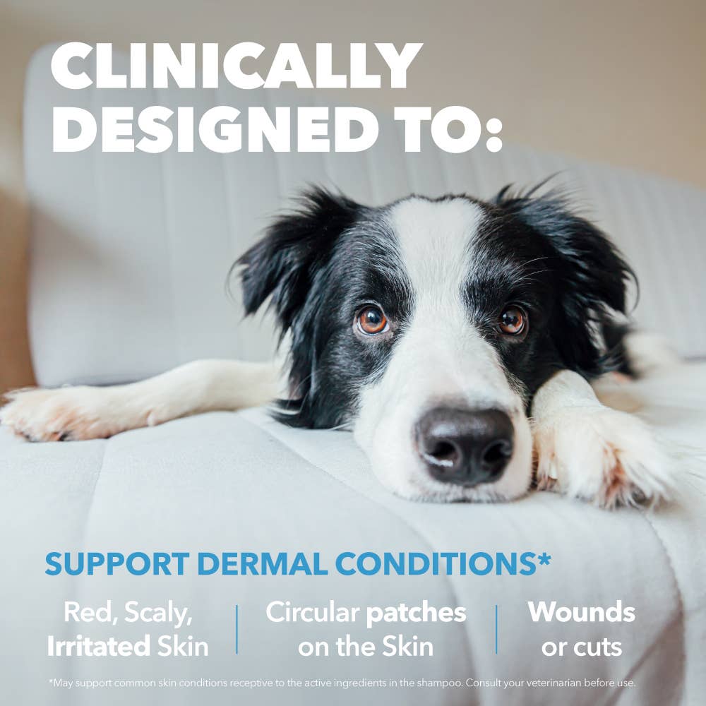 Petpal – wholesale Pet cleaning supplies – Pet&PalMD Chlorhexidine Pet Pads - 30Pads2