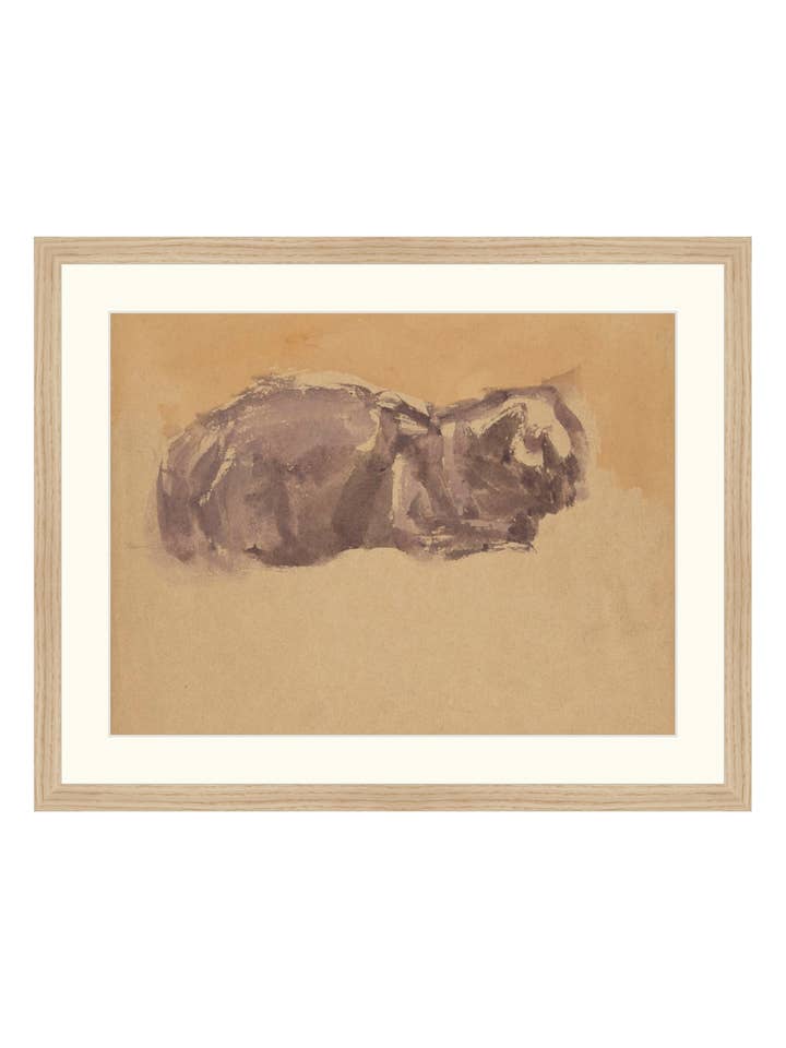 Watercolor Cat for wholesale by Splendus