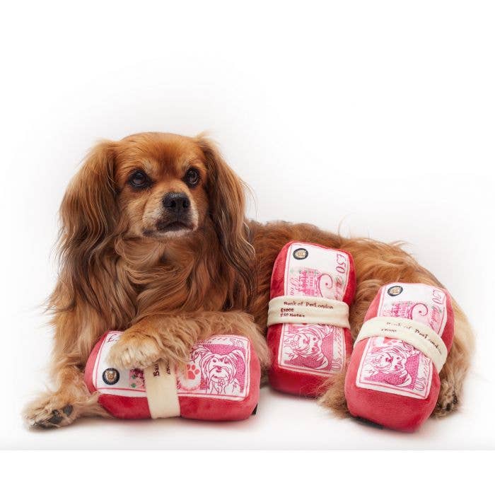 PetLondon – wholesale Pet plush toy – Dog – Doggie Dough3