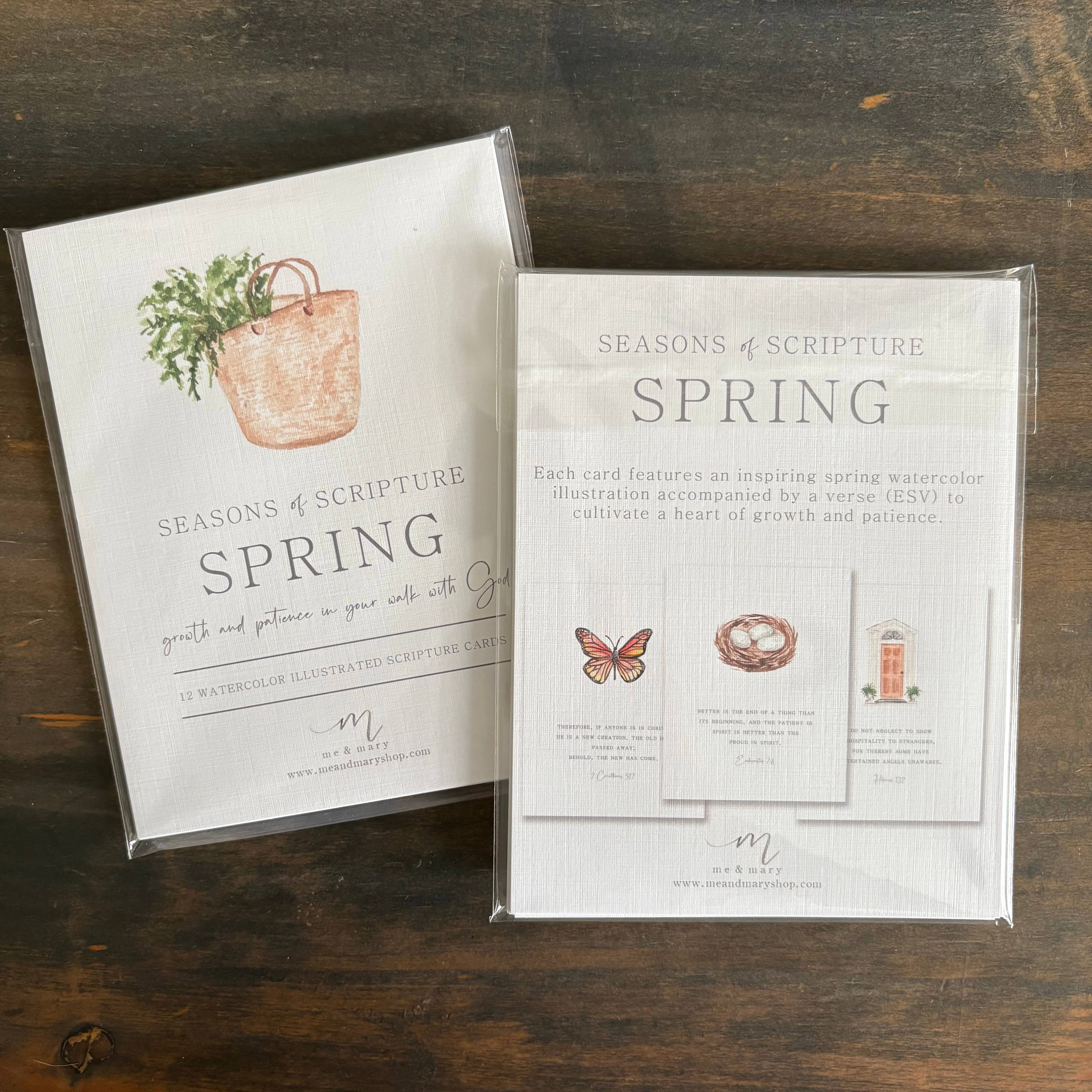 Me and Mary Shop - Wholesale Stationery/Notecard Set - Watercolor Bible Scripture Cards – SPRING 3