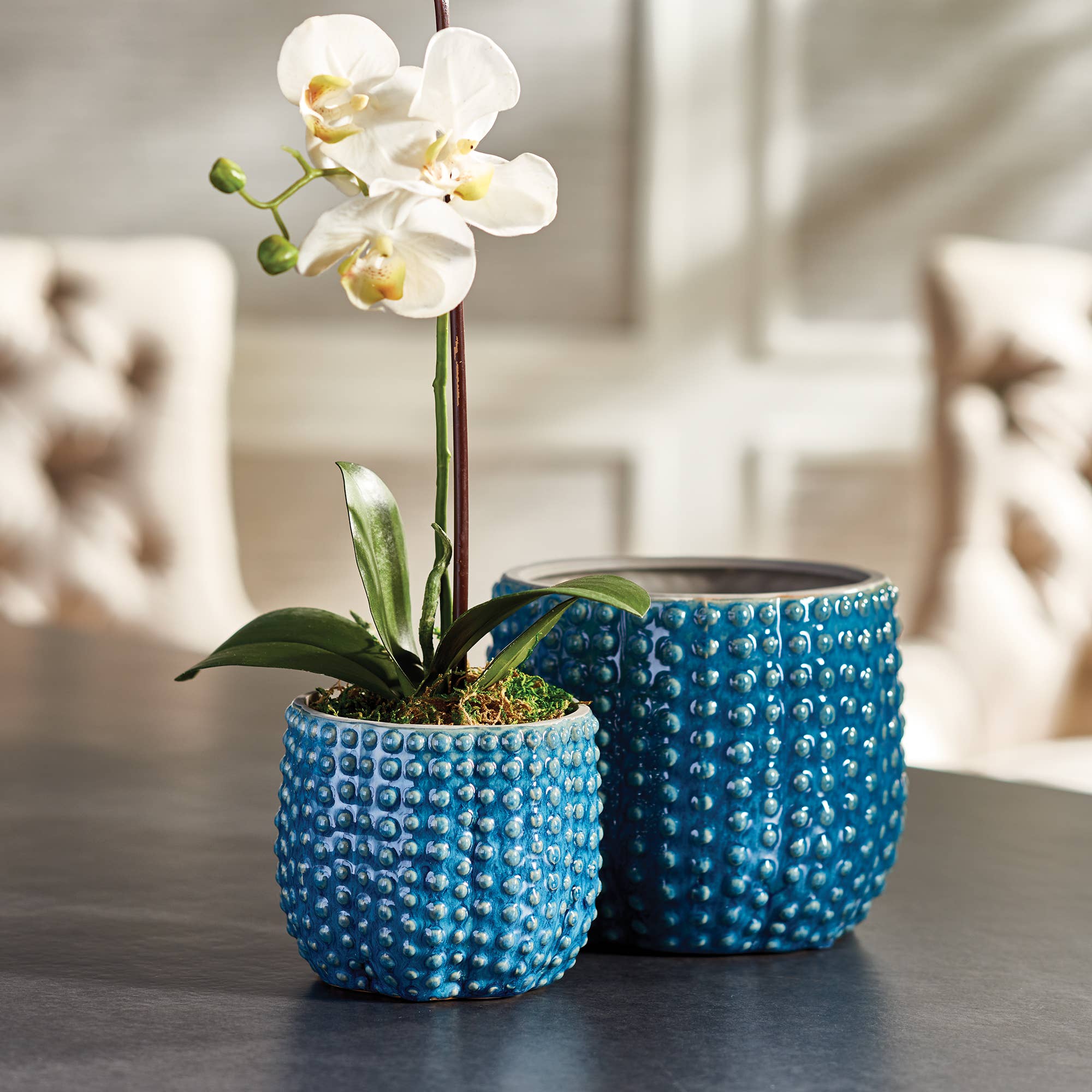 Napa Home & Garden - Wholesale Plant Pot - Urchin Pots, Set Of 21