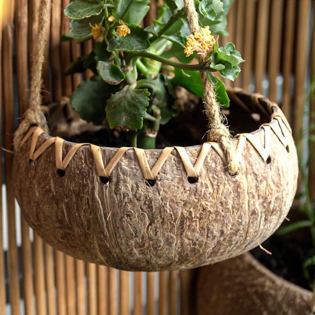 Rainforest Bowls - Wholesale Hanging Planter - Hanging Fiber Coconut Planter6