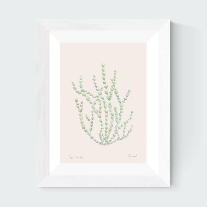 Sea Grapes Botanical Art Print for wholesale by E J Wood Watercolours