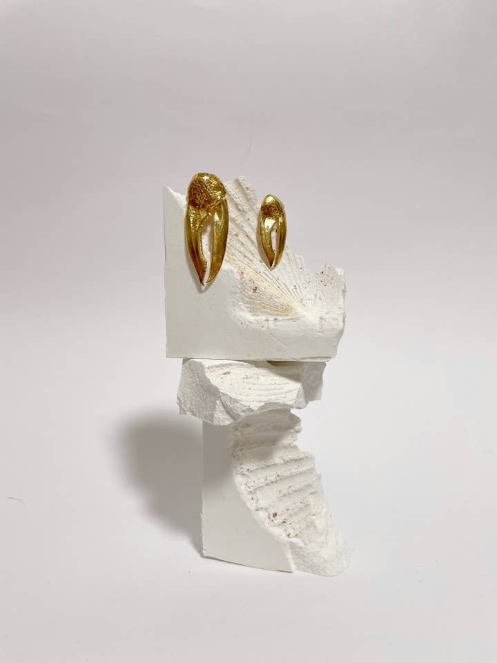 Crabs for wholesale by SOLOATAME