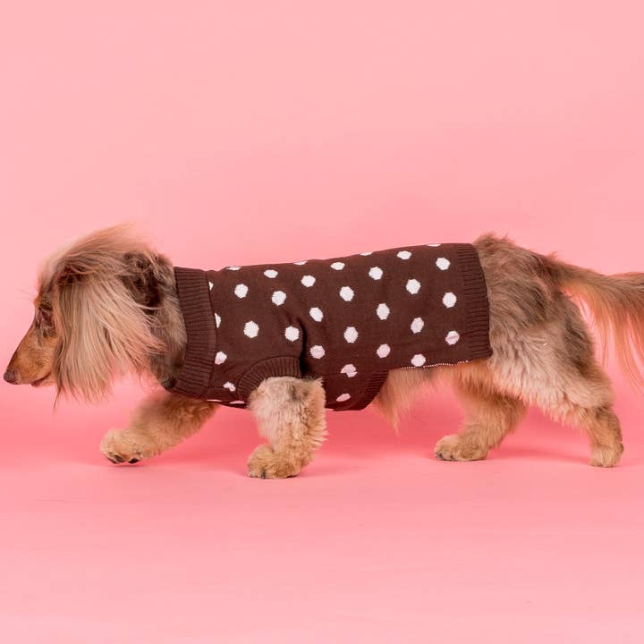 Pois : Pull pour la vente par Pablo & Co. Boutique