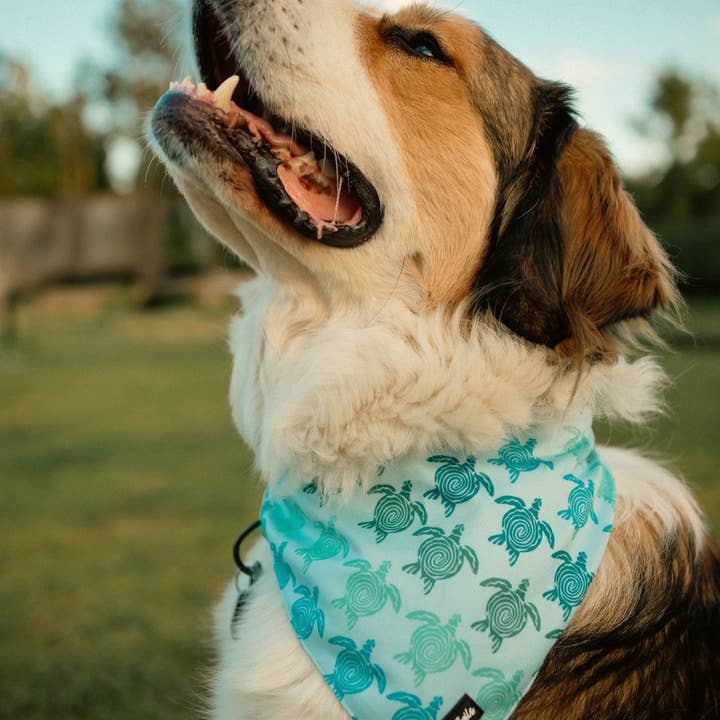 Tails and Trails - Vendita all'ingrosso Bandana - Cani - Bandana tartaruga marina2
