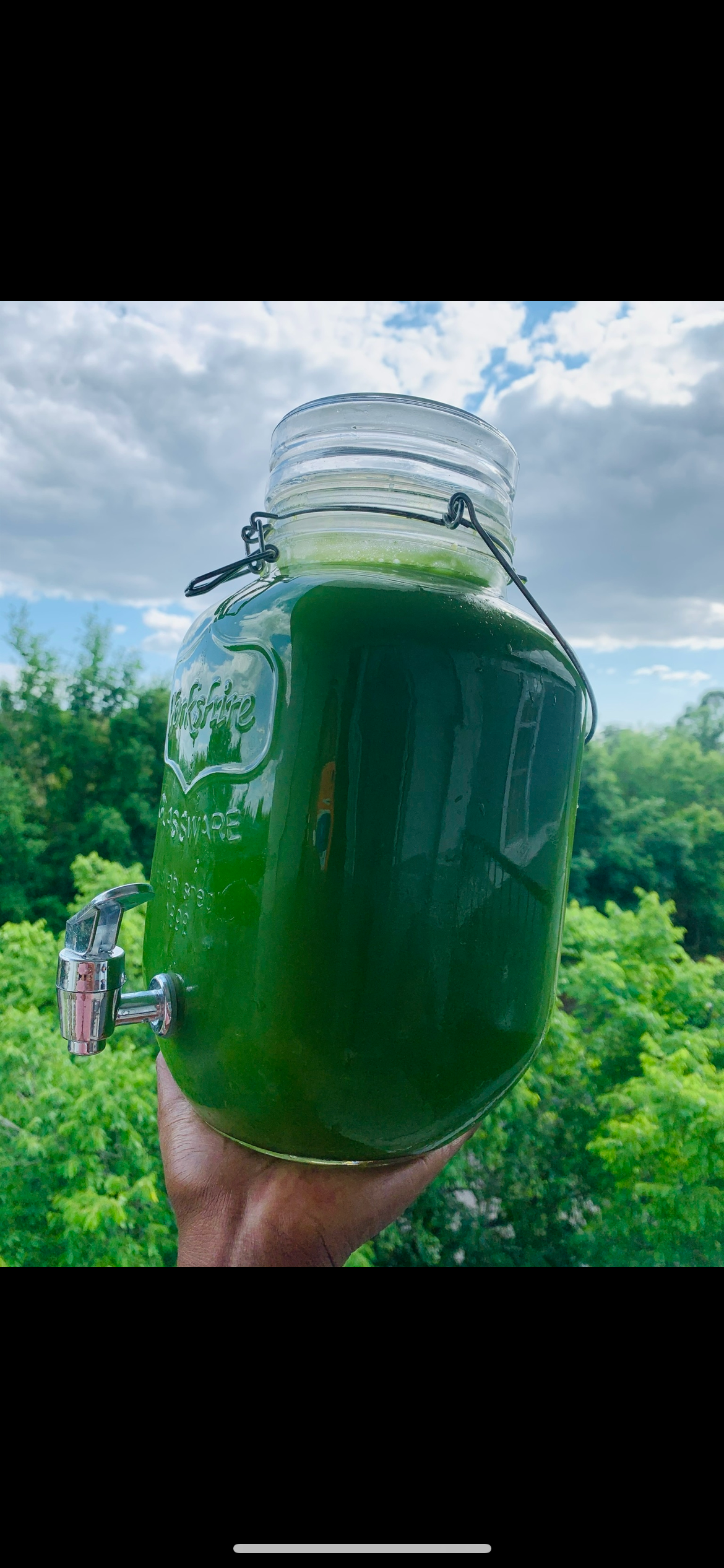 HEALTHFULLYMINE  LLC - Wholesale Bar Soap - Green Juice bar2