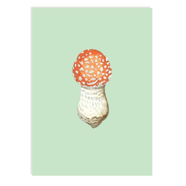 Flugsvamp vykort för wholesale av 30x40