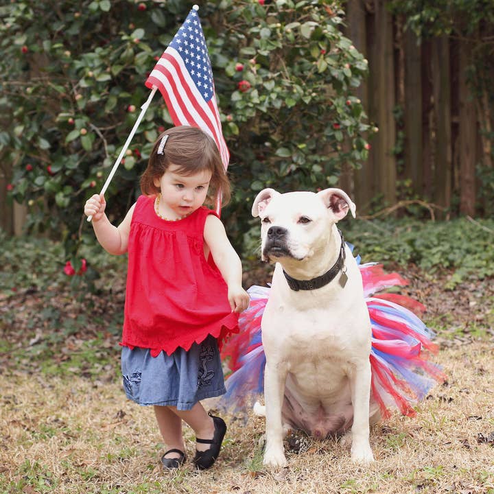 4th of July Dog Tutu | Dog Skirt | American Flag Dog Tutu for wholesale by Tutu Joli LLC