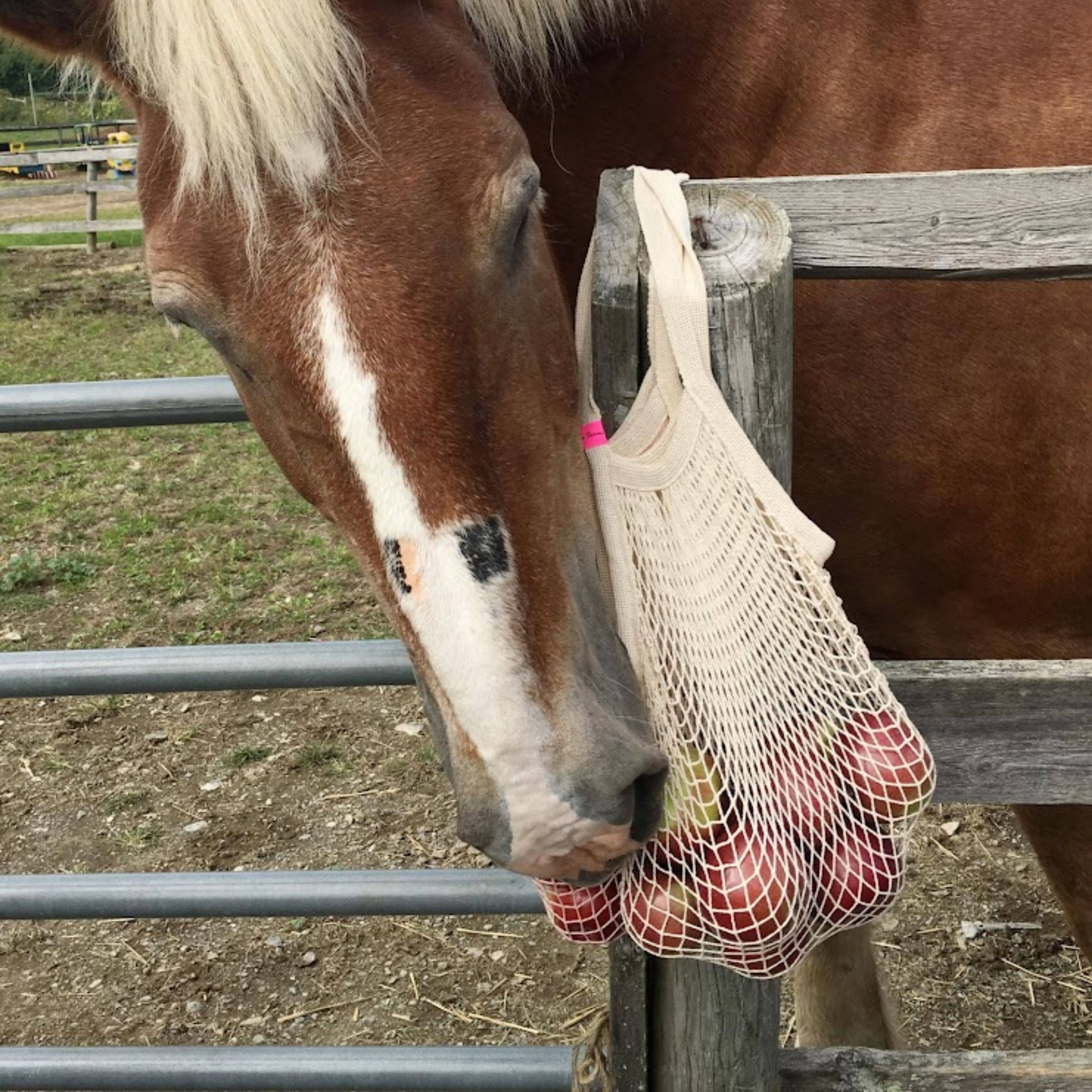 the french market bag no.2 in natural for wholesale on Faire7