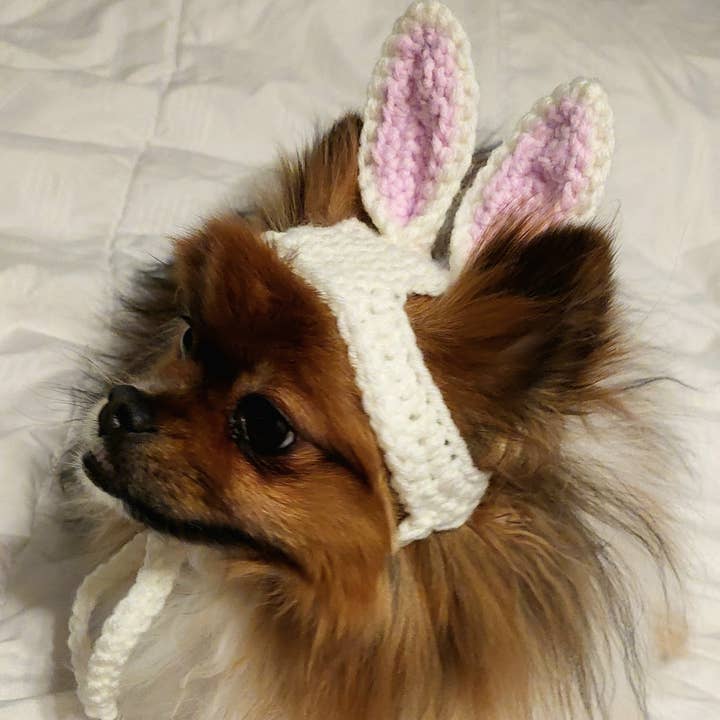 Glitter Ghost Clothing and Accessories - Vente Chapeau – chien - Chapeau de lapin de Pâques en crochet - Bonnet pour chat - Chapeau pour animal de compagnie