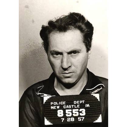 BIG HOUSE Saluti, lurido animale per la vendita all'ingrosso da parte di The 3 Sisters Design Co.