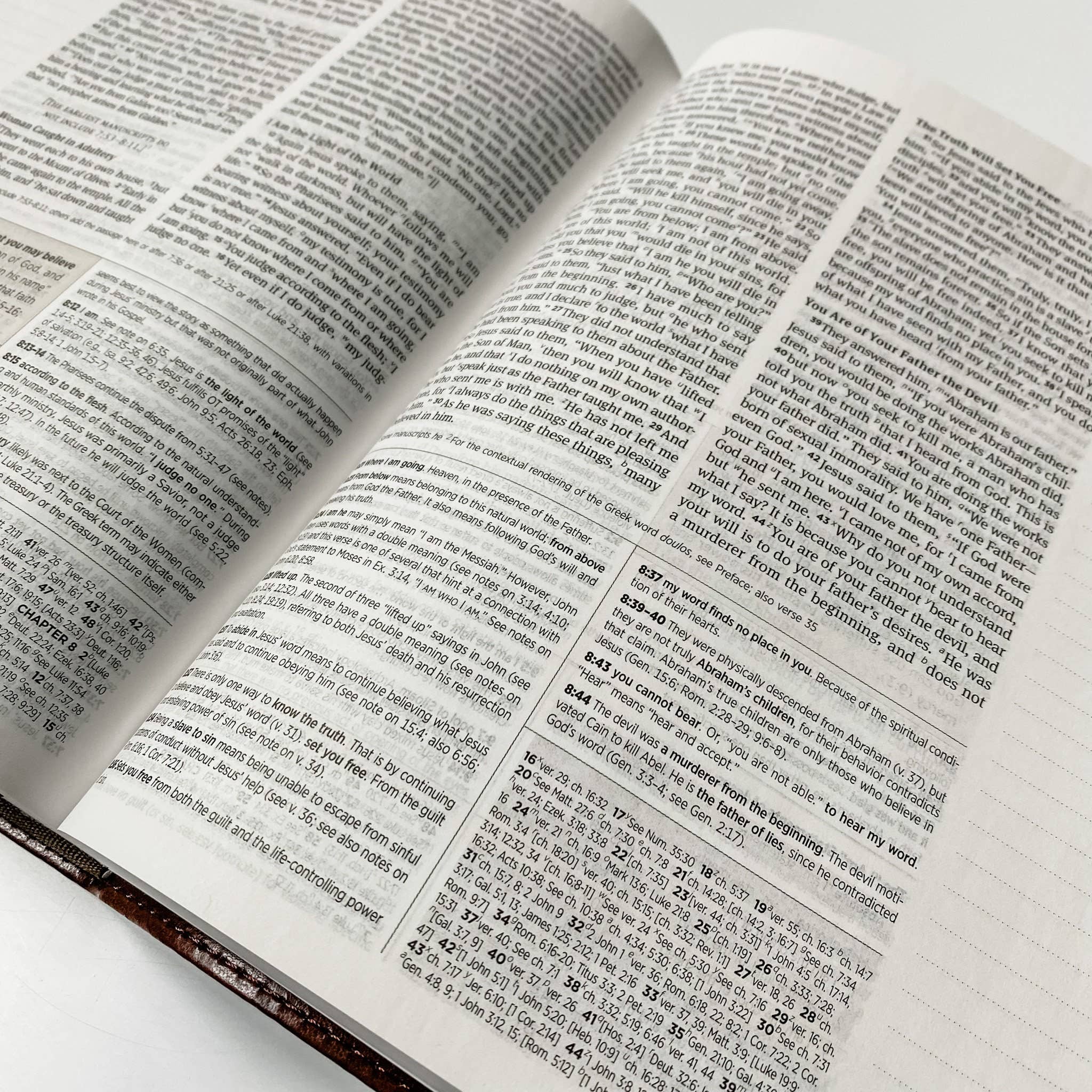 Joy Creative Bibles - Wholesale Religion - ESV Journaling Study Bible - John 3:165