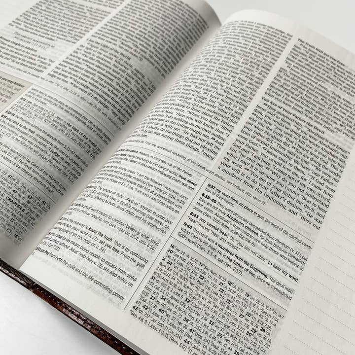 Joy Creative Bibles - Wholesale Religion - ESV Journaling Study Bible - John 3:165