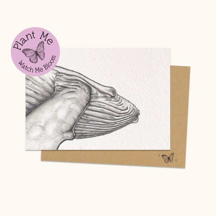 Plantable Greeting Card - I see u (Humpback whale calf) for wholesale by Laura Luke