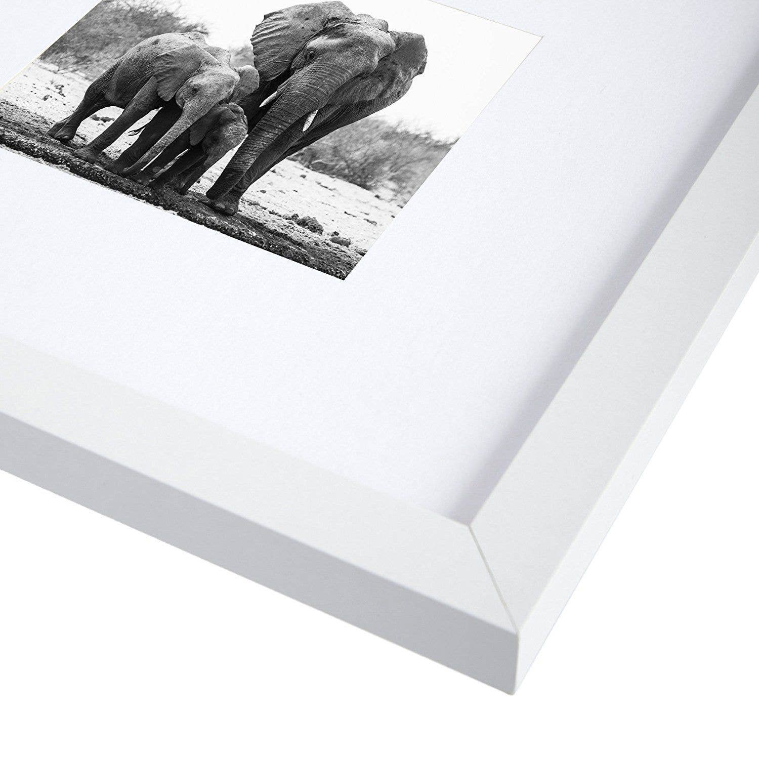 Americanflat - Wholesale Picture Frame - Americanflat Picture Frame with Mat Standard Molding184