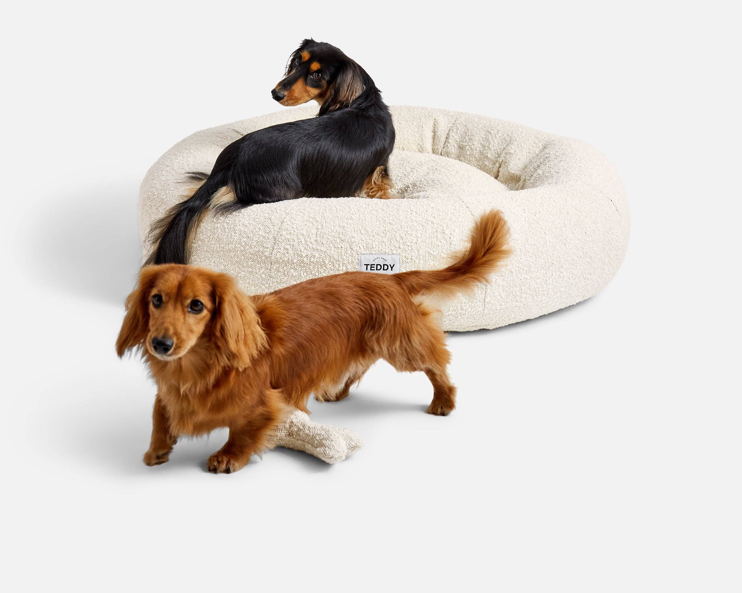 TEDDY LONDON – Großhandel Haustierbett – Hund – NEUES WEISSES WOLKENBETT MIT MITTELHOHEM BOUCLE-DESIGN2