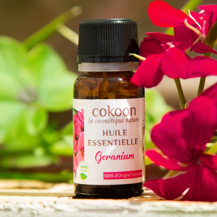 Geranium essential oil for wholesale by Cokoon