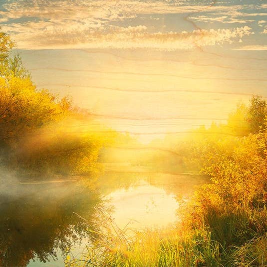 Bois Marais Soleil Levant Postcard for wholesale by Hironwoods