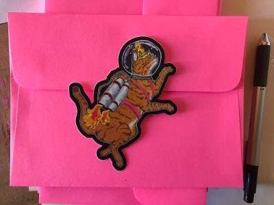 Sunde White Industries - Wholesale Sticker - Astro Cat Sticker2