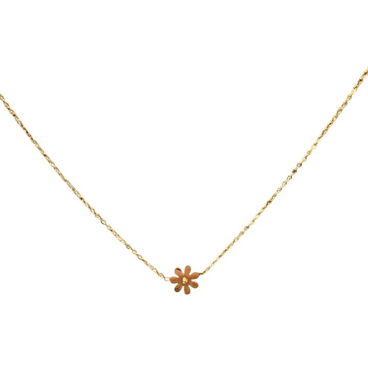 Gods Beauty for wholesale by Lamb's Heir