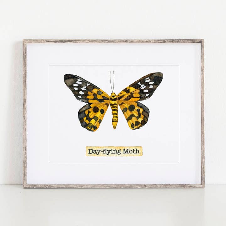 Butterfly Watercolor Faux Taxidermy Print for wholesale by Candace Fincher