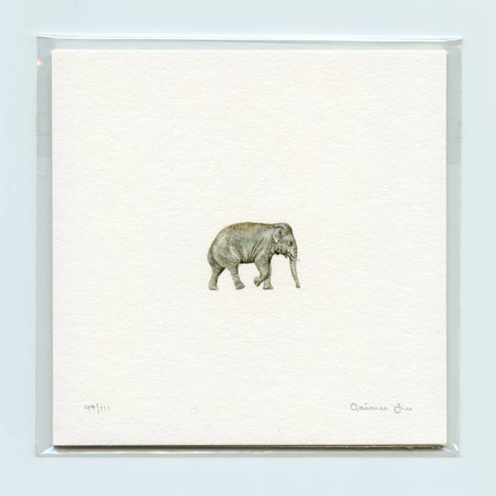 Mr. Thuds Limited Edition Art Print on Hemp Eco Paper for wholesale by Paintings For Hummingbirds