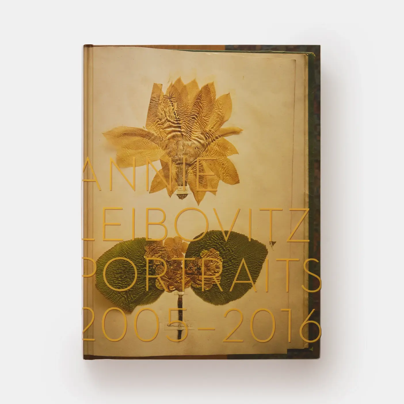 Phaidon - Wholesale Display Book - Annie Leibovitz: Portraits 2005-20169