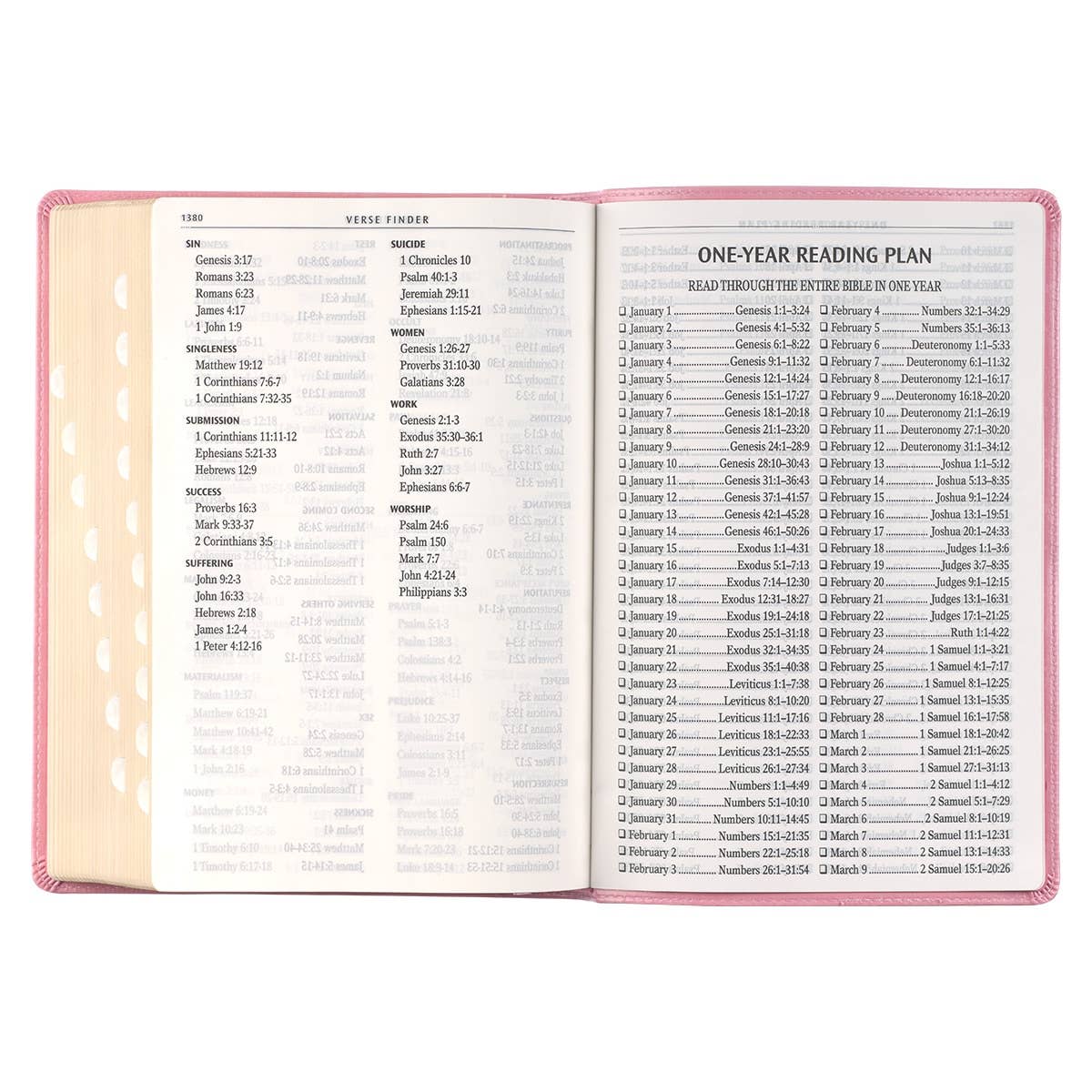 Christian Art Gifts - Wholesale Religion - KJV Bible Giant Print Full-size Faux Leather, Pink7