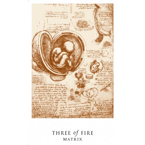 Cardshouse - Wholesale Tarot Cards - The Da Vinci Enigma Tarot Cards And Book Set Schiffer Publis4