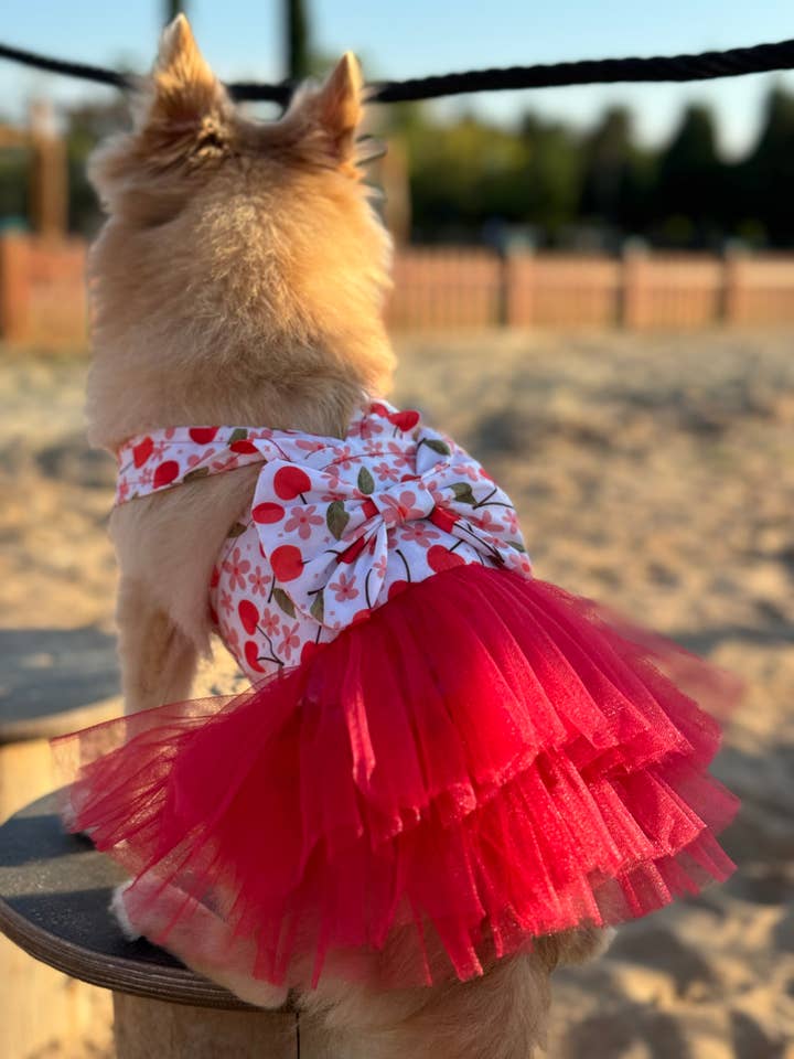 LOVE Collection - Adorable Pet Overalls with Tulle Skirts, M for wholesale by only-pets