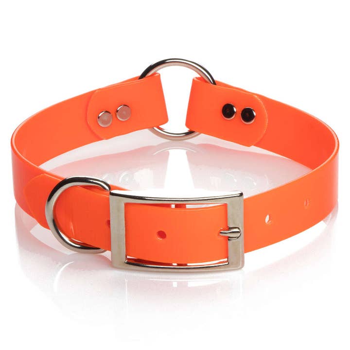 Mendota Pet - Venta al por mayor Collar - Perros - Collares sintéticos de seguridad Mendota, 1 pulgada de ancho
