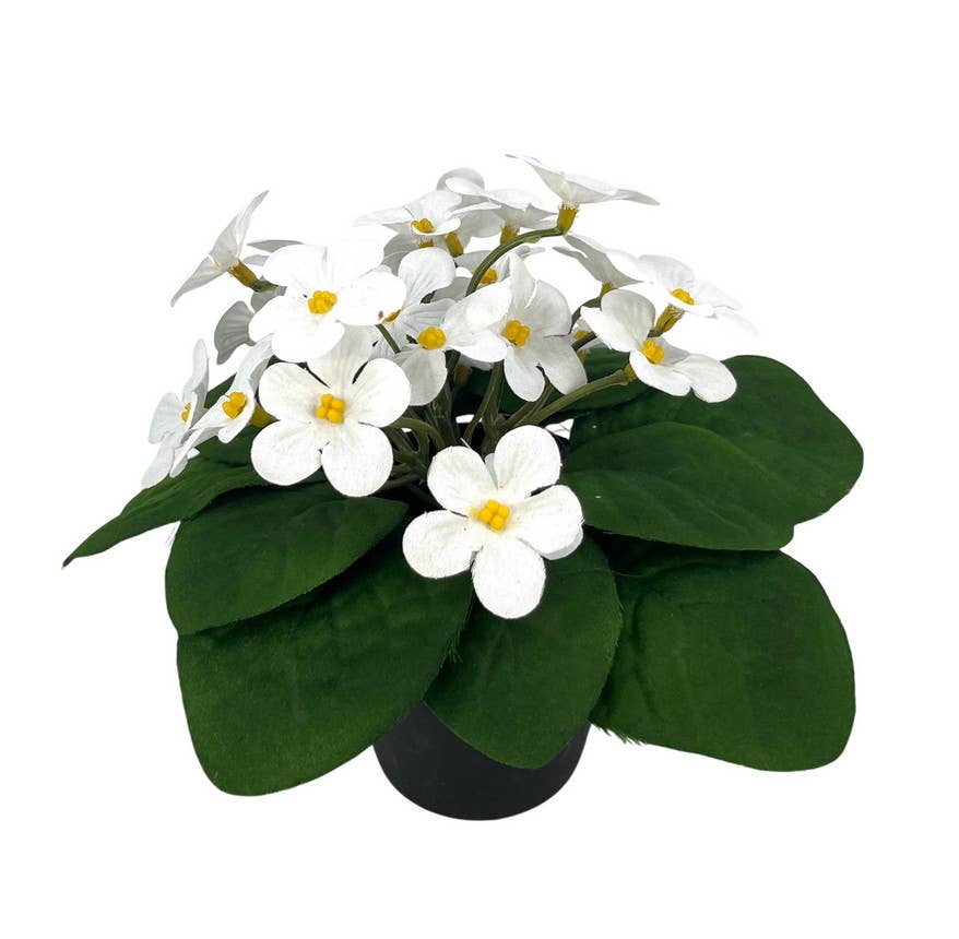 Aguilar Málaga - Wholesale Artificial Flowers - KALANCHOE/MACT. CENTER, CREAM 18x20CM0