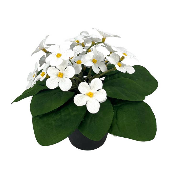 Aguilar Málaga - Wholesale Artificial Flowers - KALANCHOE/MACT. CENTER, CREAM 18x20CM0