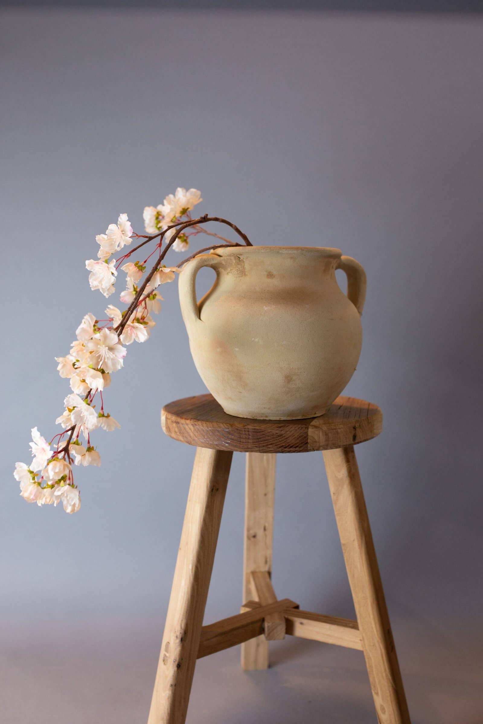 Curated Studio - Wholesale Decorative Jar - Avanos Yogurt Jar1