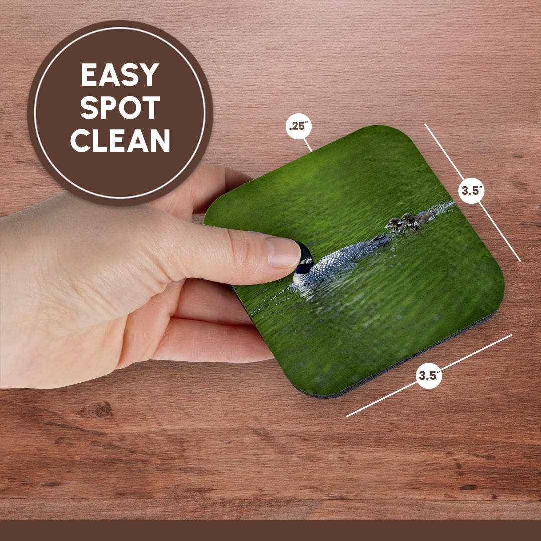 3dRose - Wholesale Onderzetters - 3dRose, Cassels Lake. IJsduiker met kuikens, Onderzetter13