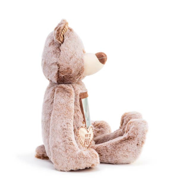 DEMDACO - Wholesale Stuffed/Plush Toy - Kids & Baby - Here to Hug Bear3