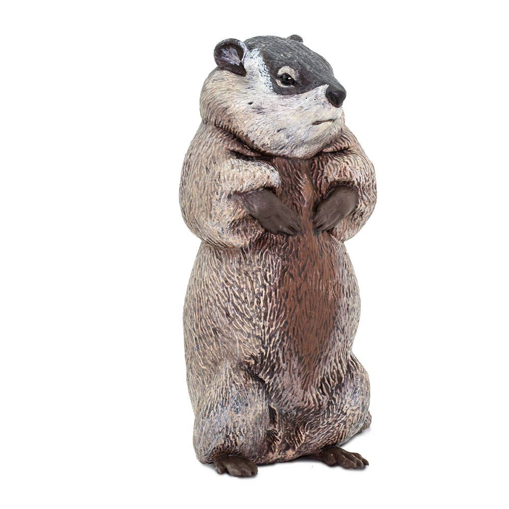 Safari Ltd. - Wholesale Decorative Figurine - Groundhog - 1001185