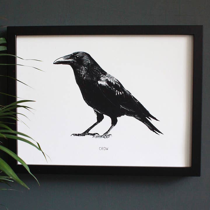 Black Crow Engravings Art Print for wholesale by Cloud Cuckoo Design