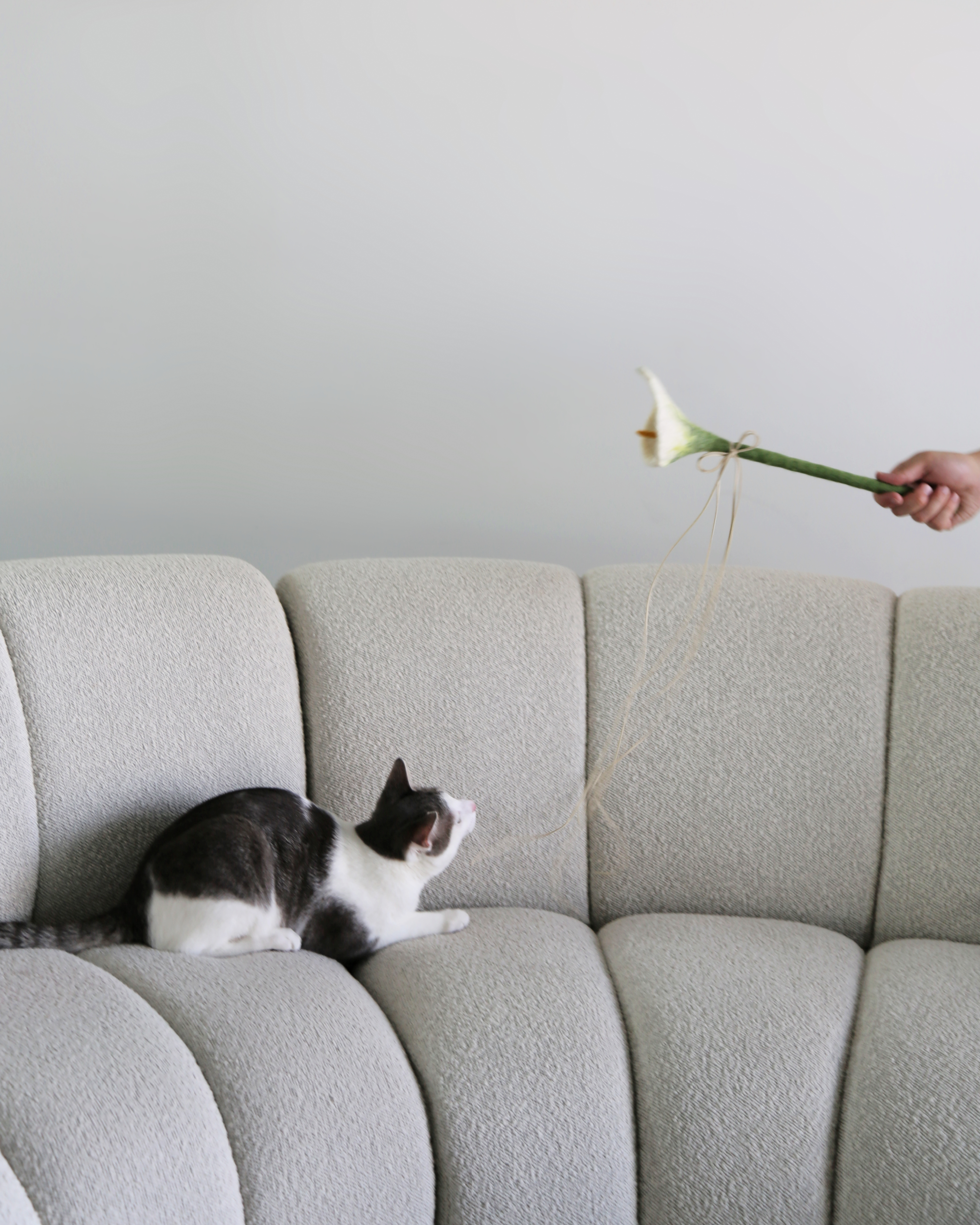 Catenary Home - Wholesale Speeltje - Kat - Flora Kat Speelstok Speeltje4