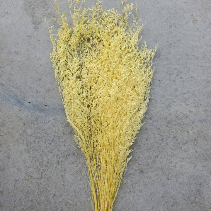 Preserved Limonium Caspia Flowers - Soft Yellow (035) for wholesale by BLOOMINGFUL.COM