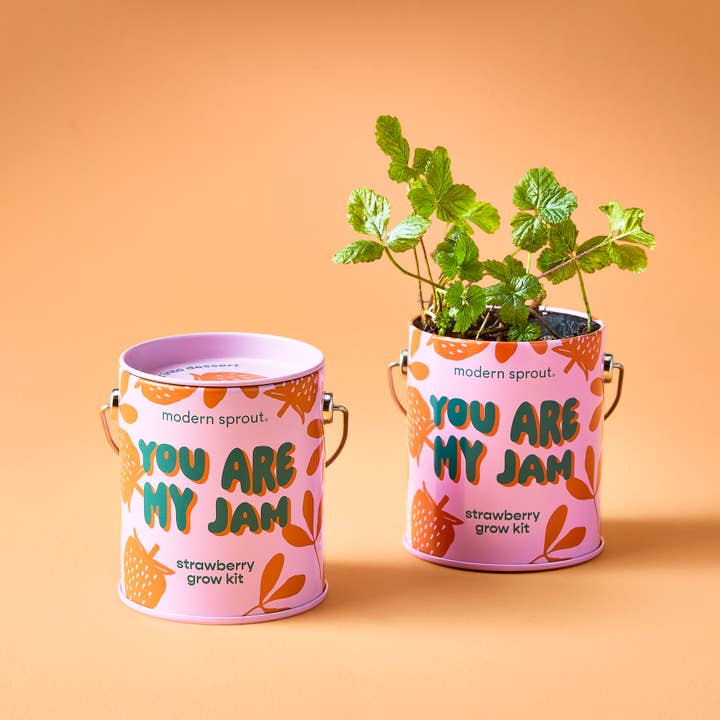 Modern Sprout - Wholesale Plant Seeds - Complimentary Color Grow Kits