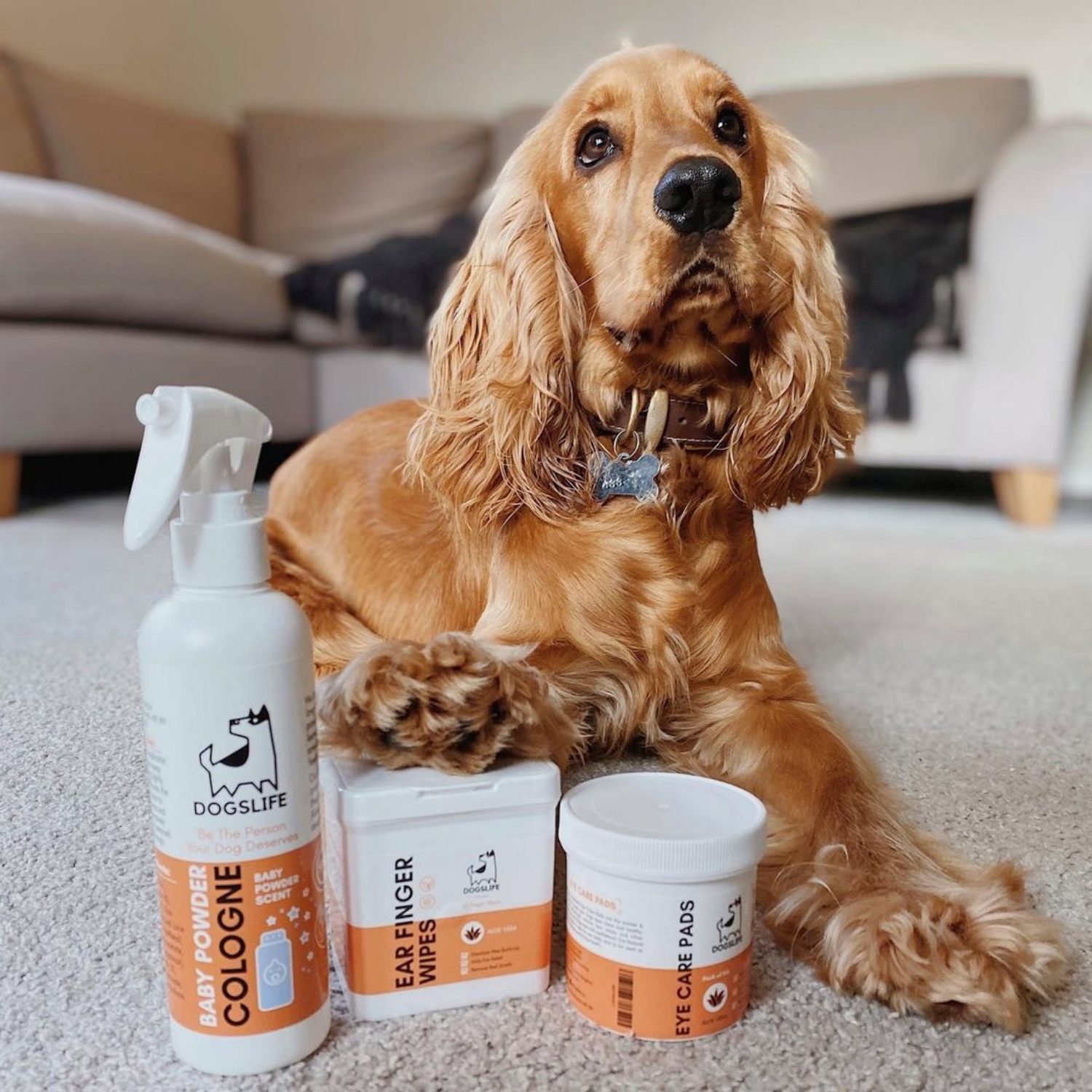 DogsLife - Venta al por mayor Spray para mascotas - Perros - Colonia para perros (aroma a talco para bebés)1