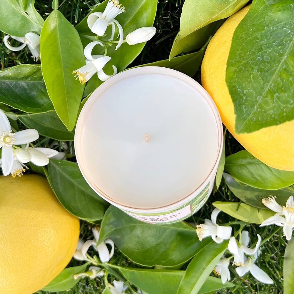 Girl w/ Knife – Großhandel Kerze im Glas / gefüllte Kerze – Tropical Swoon Candle - Essence of Pomelo (Soja-Kokosnuss)5