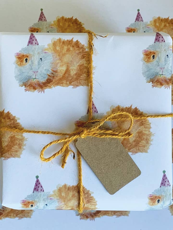 WS223 Guinea Pig Birthday Gift Wrap | FSC Paper for wholesale by Western Sketch