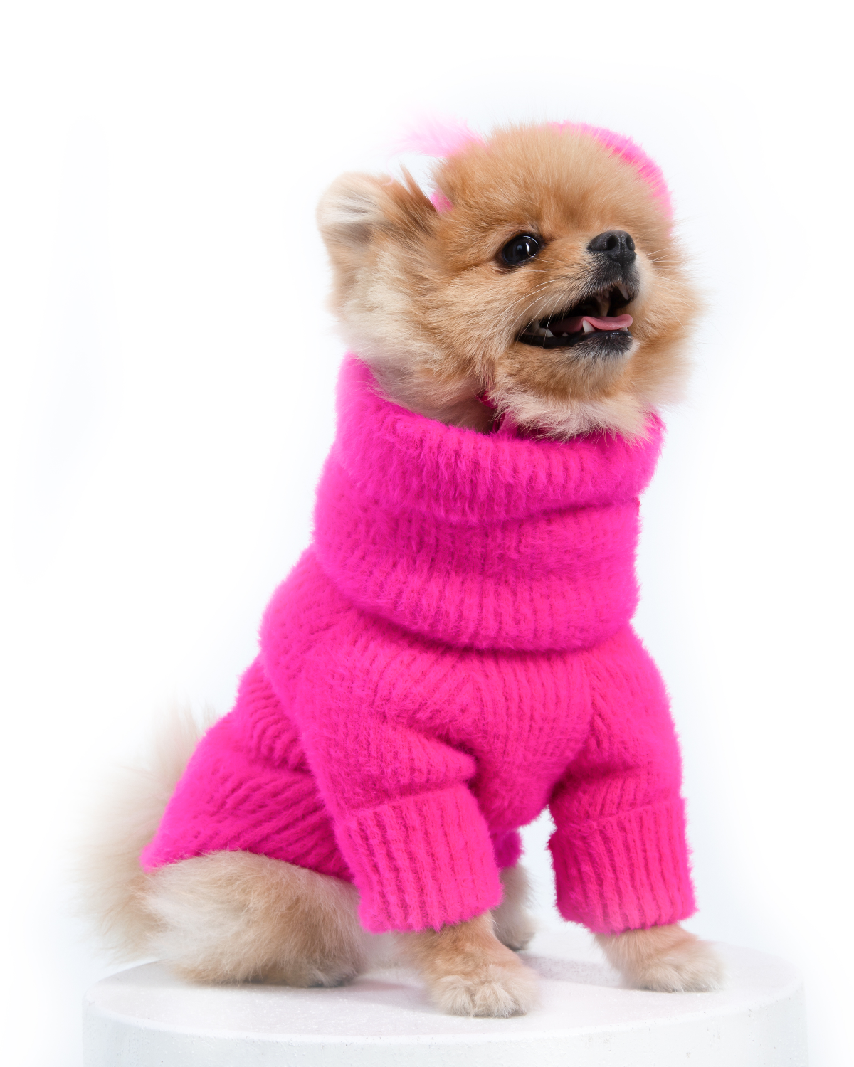 Pink Loves It Dog Sweater & Hat for wholesale on Faire1