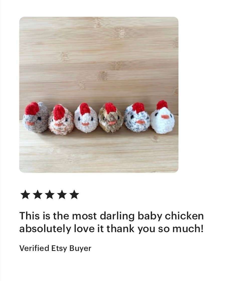 Cool Beanz Crochet - Vente Décorations de table - Petit poulet au crochet - couleur mystère !11