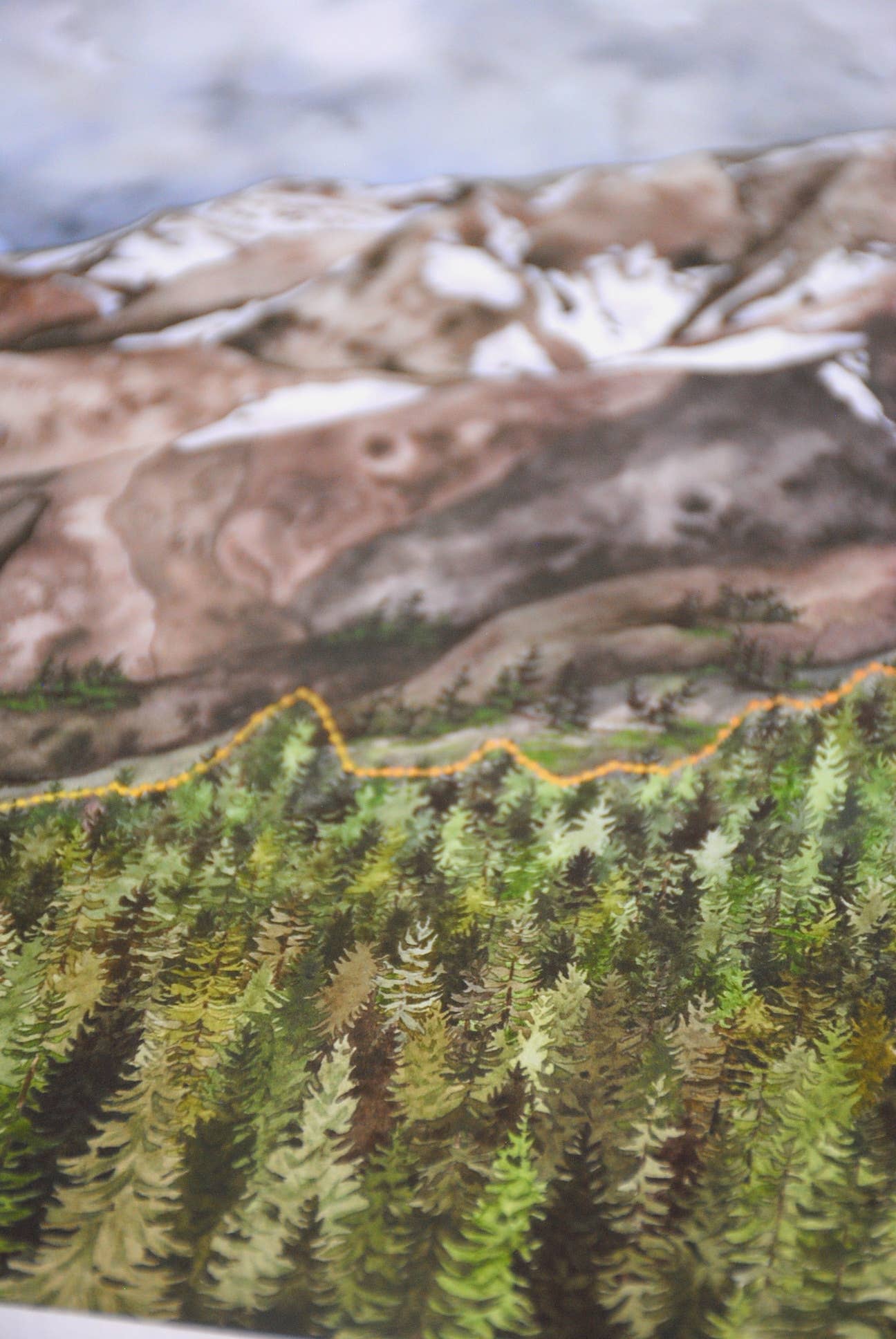 Jill Pelto Art - Wholesale Art Print - Mountains and Spruce Trees Art Print3