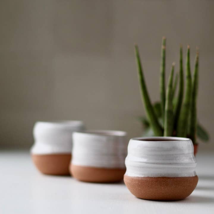 Gravesco Pottery - Wholesale Plant pot - Assorted Small Planter Pots | White 2 inch handmade5